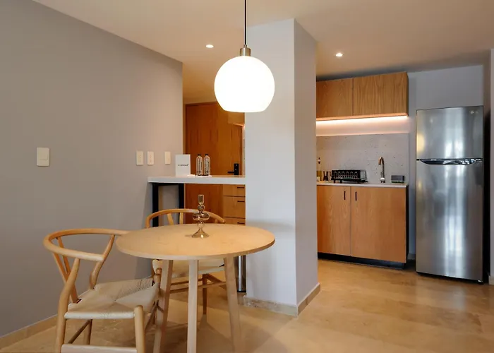 Aparthotel Roma 168 By Wynwood House Mexico City